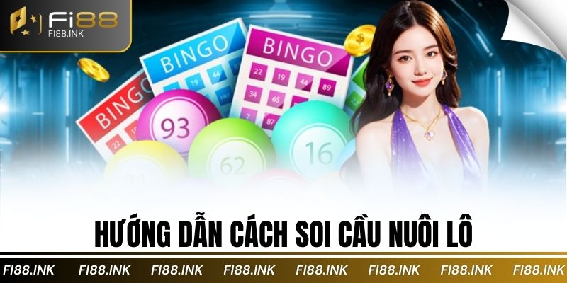 Hướng dẫn cách soi cầu nuôi lô