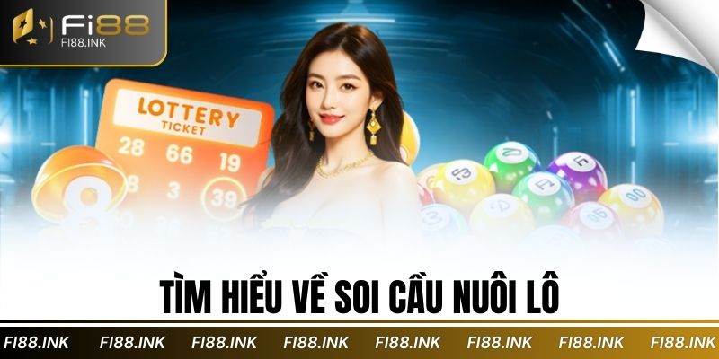 Tìm hiểu về soi cầu nuôi lô